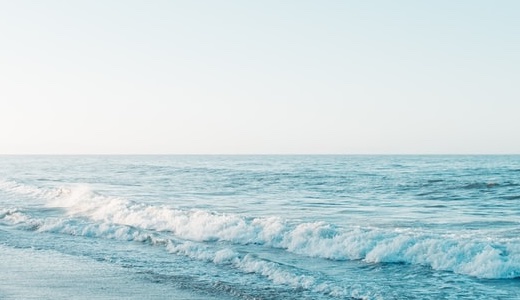 【2025年6月】弊社や弊社の参入している業界のまとめ