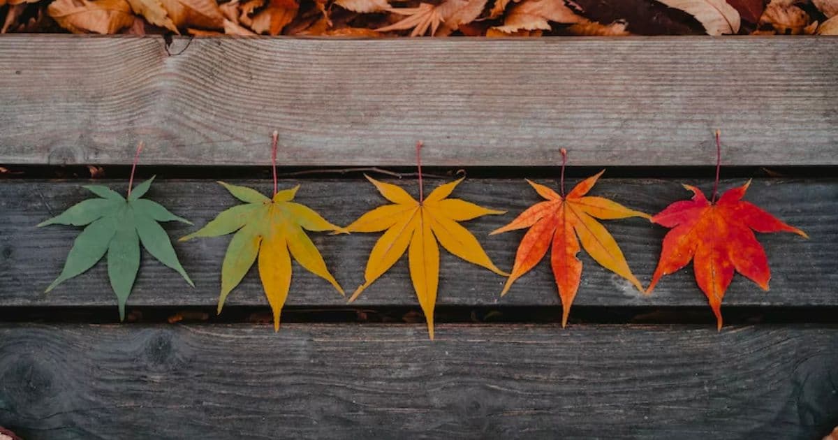 来年の目標が決まりました