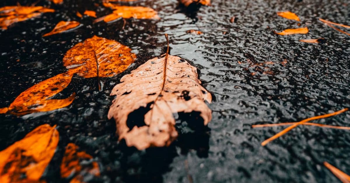 美容師を目指したきっかけ