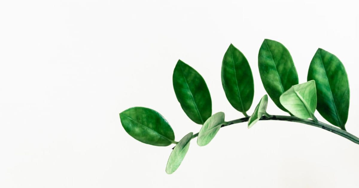 先に謝っておきます・・・